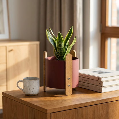 Foliron Round Iron Planter — 18cm